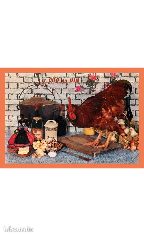 A594 555 Recette de Cuisine Coq au Vin Collection