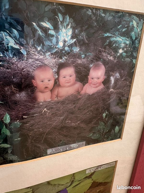 Tableau cadre pêle-mêle Anne Geddes (image 5)
