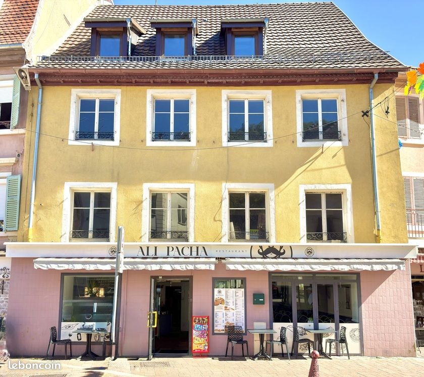 Immeuble 12 pièces 360 m² · à Thann · 360 m² · 260 000 €