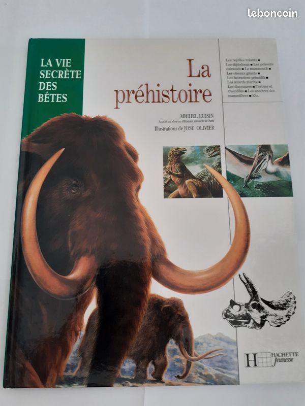 La préhistoire (image 1)