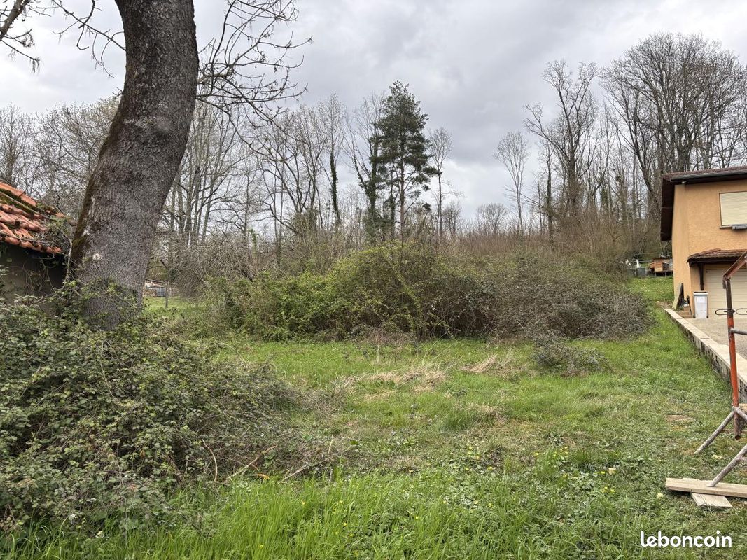 Terrain 2379 m² · à Ambutrix · 2 379 m² · 89 000 €