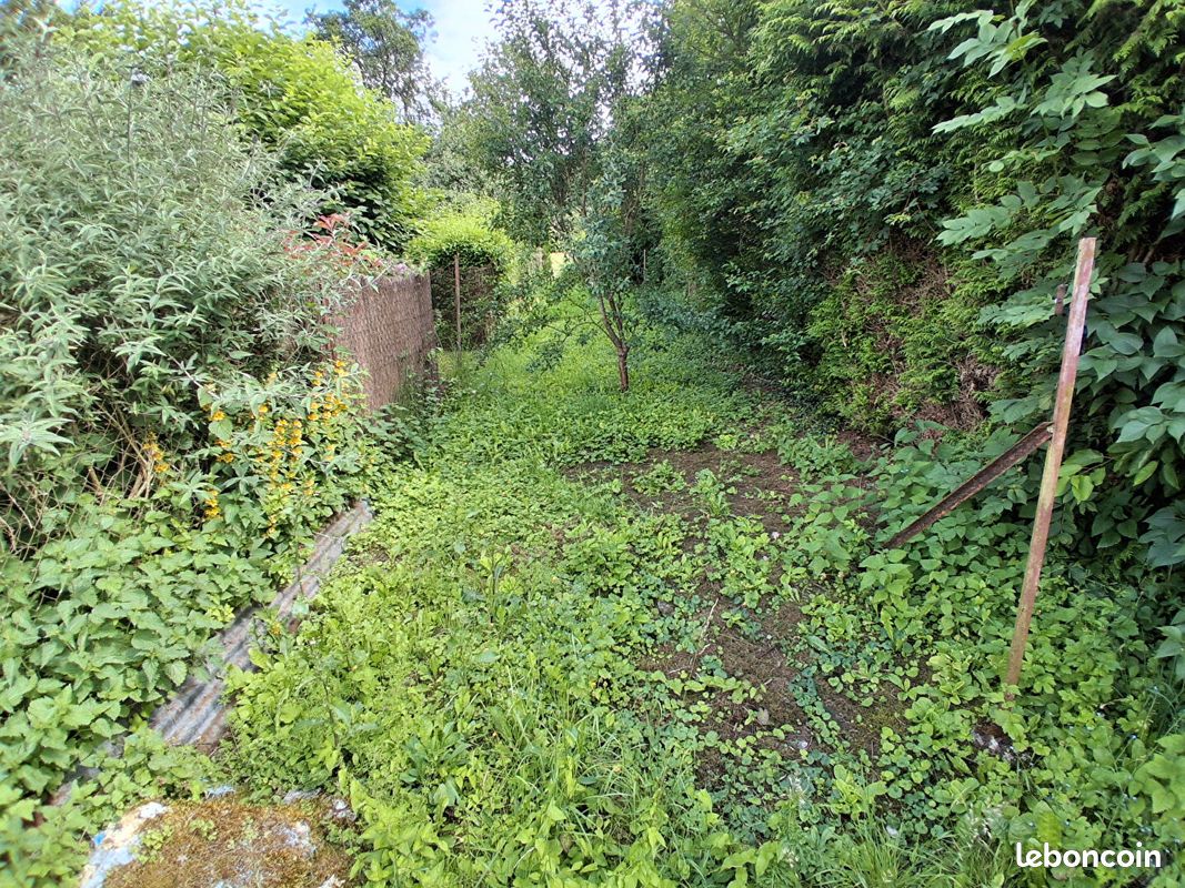 Maison 3 pièces 38 m² (image 7)