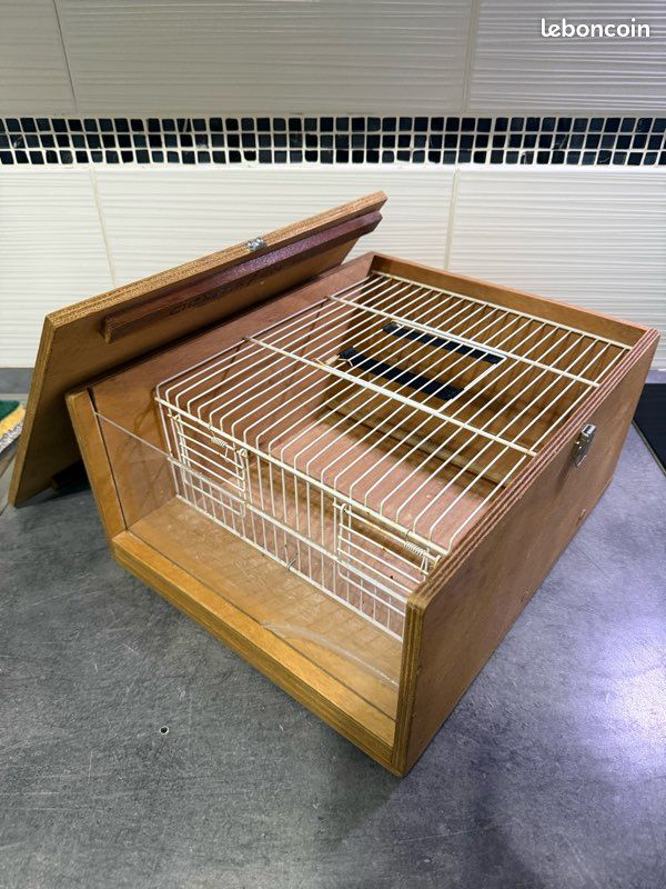Ancienne Cage à Oiseaux En Bois – Transport D'appelant – Chasse – 37 Cm – France