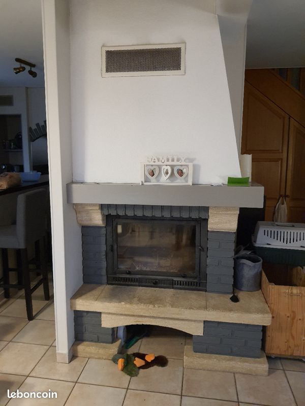 Cheminée et insert (image 1)