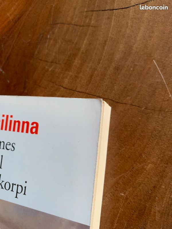 Les 10 femmes de l'industriel Rauno Ramekorpi, Arto Paasilinna (image 4)