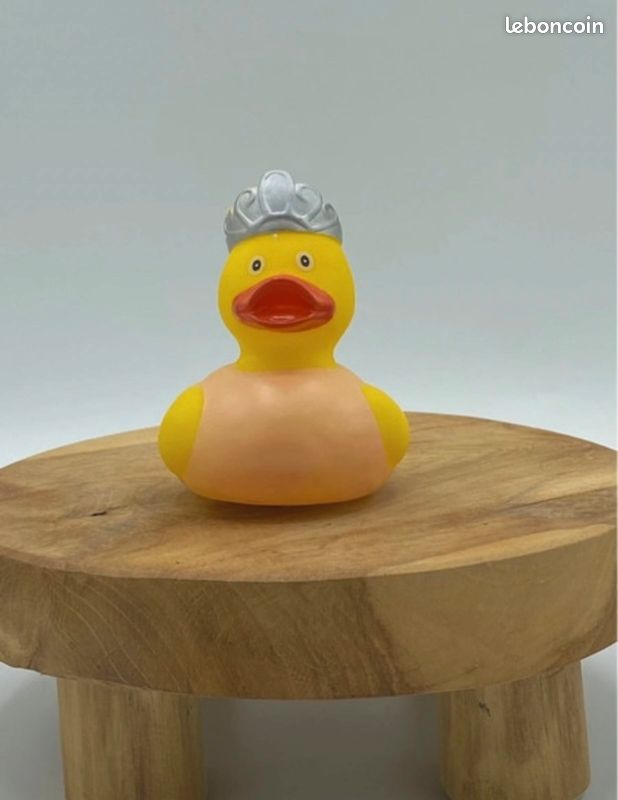 Collection canard en plastique (image 1)