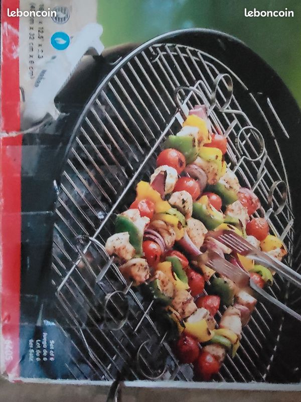 Accessoire Barbecue Acier Inox Kit Brochettes Barbecue Weber - 5 Brochettes Inox Support - Pour Q2000/charbon Grillade Brochettes Réutilisables