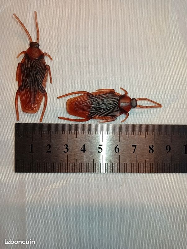 Insectes en plastique POUR BLAGUE 😂 (image 2)