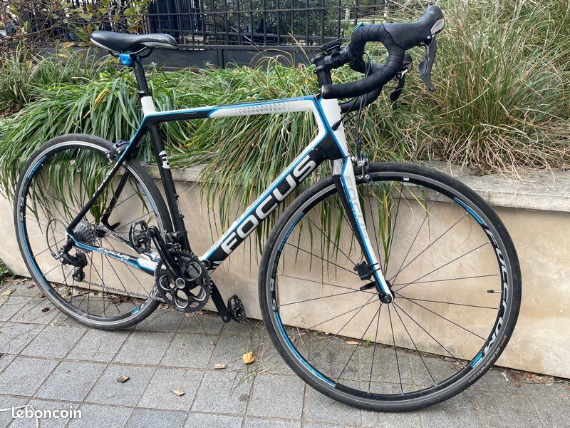 Vélo de route carbone - Focus Cayo evo (image 4)