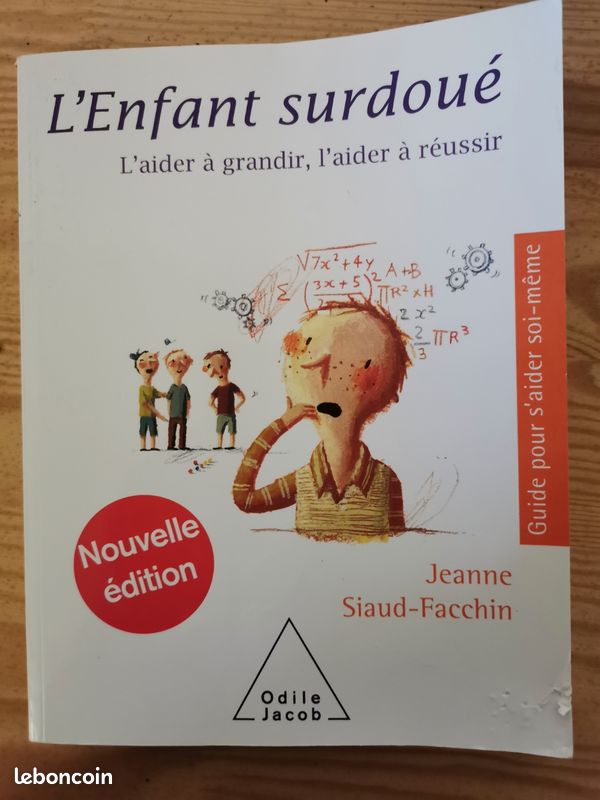 L'enfant surdoué (image 2)