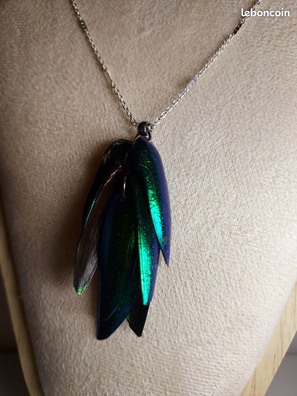 Pendentif élytres Sternocera – Vrai scarabée – Collier argent 925 – Bijou curiosités – Insecte naturel – Chaînes au choix (image 2)