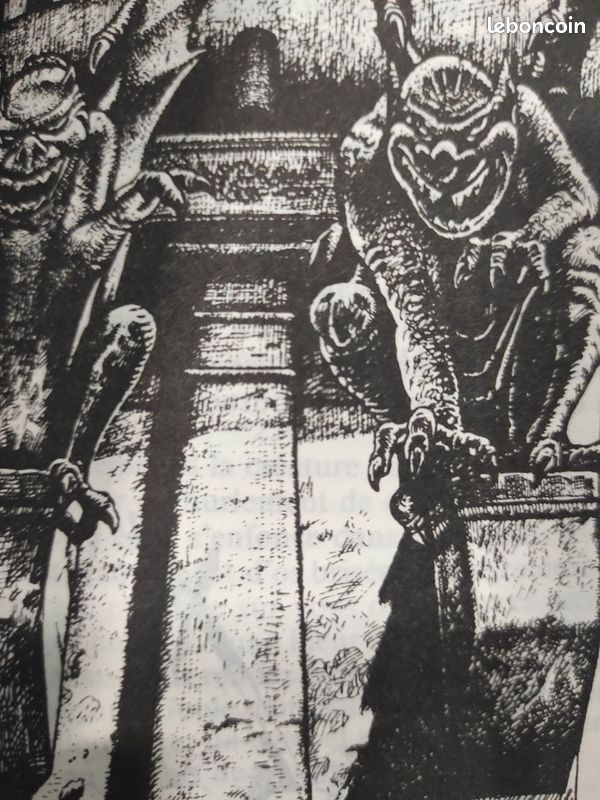 Les rôdeurs de la nuit un livre dont vous êtes le héros ldvelh (image 5)