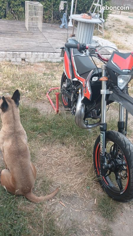 Beta rr 50 (image 3)
