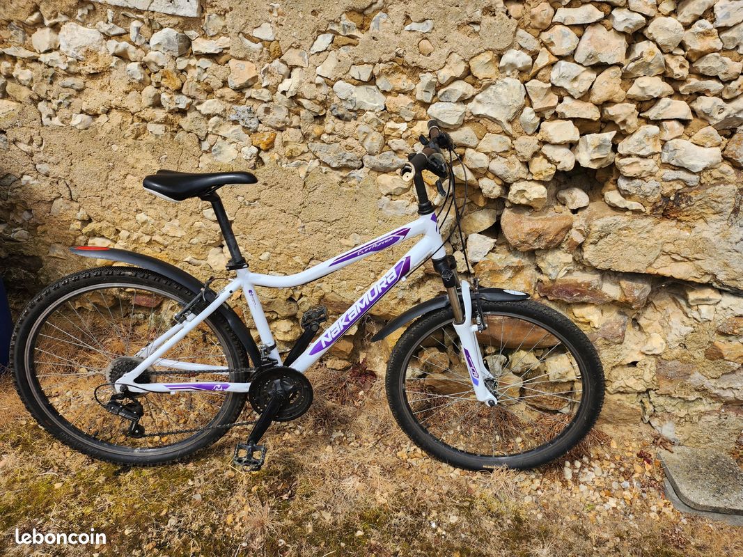 Vélo Nakamura (image 1)
