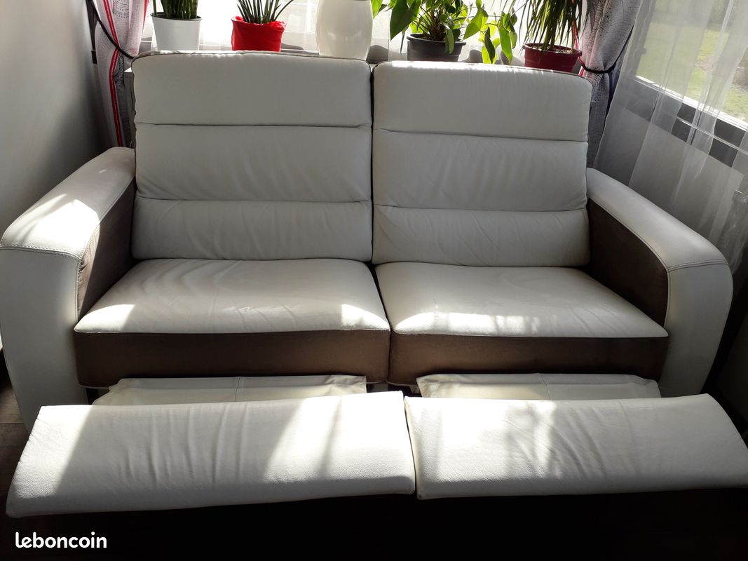 Vend canapé cuir (image 3)