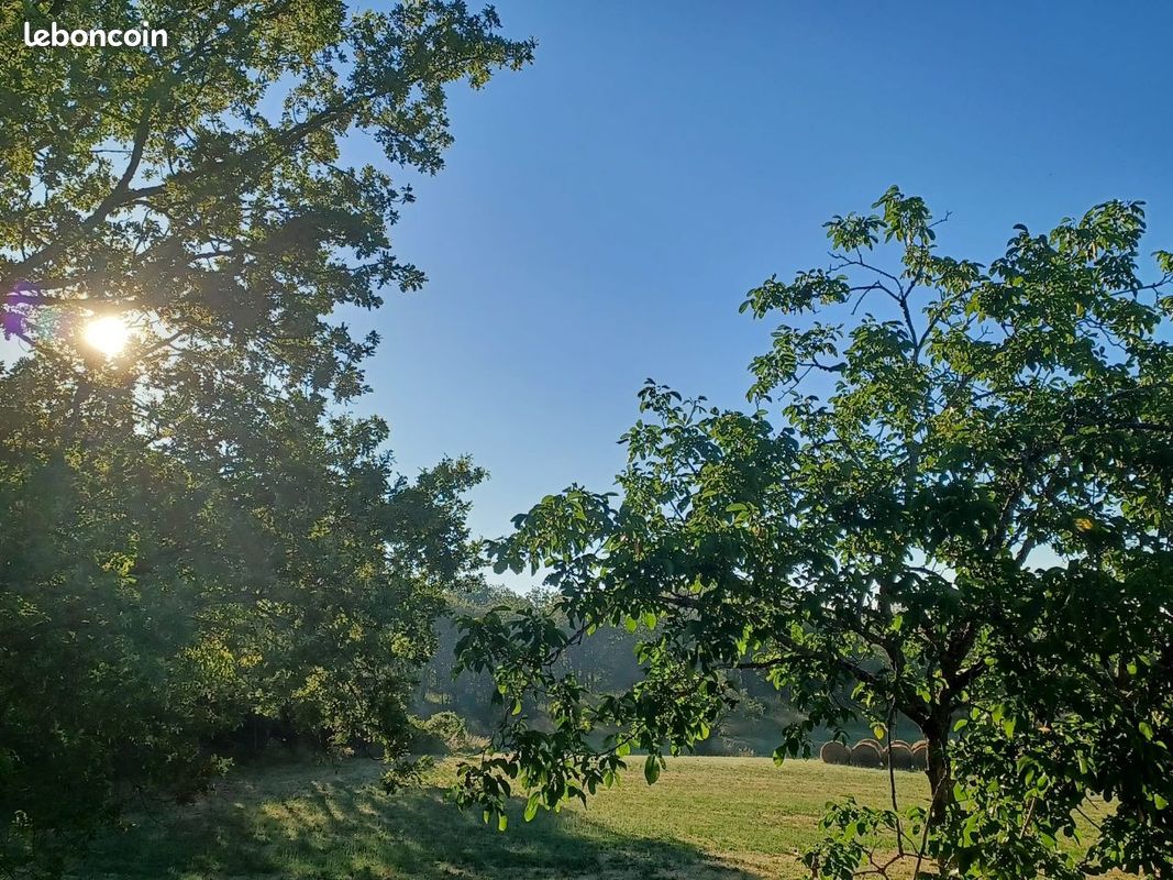 Charmant Gîte sur les Causses (image 4)