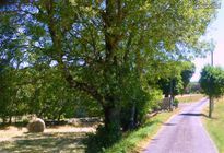 À vendre – Terrain à bâtir dans un village plein de charme. Saint Germain du Bel Air 46310