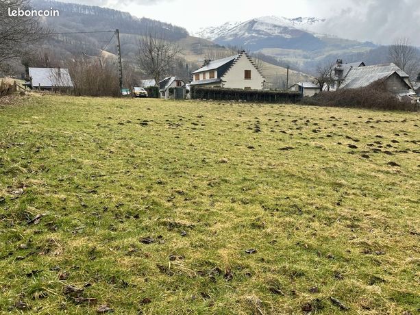 Terrain 1 689 m² Campan