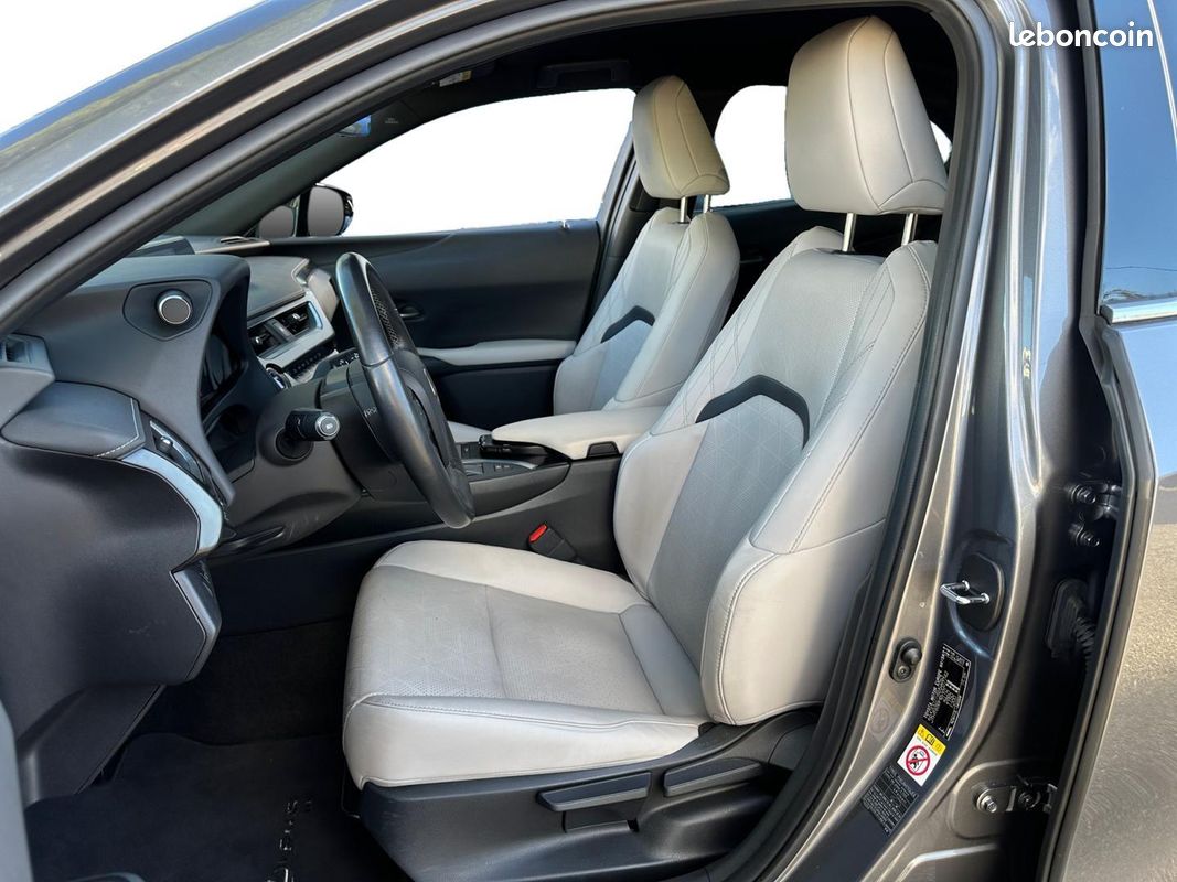 Lexus UX 250h 2WD Luxe MY19 (image 9)