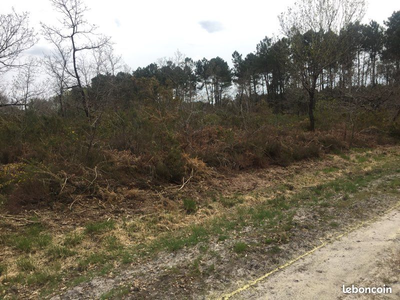 TERRAIN 1,5 HECTARE LE TEICH SOIT 14 679m2 · 179 000 €