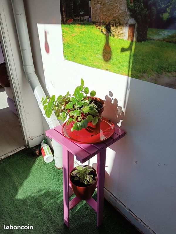 Porte plante rose (image 3)