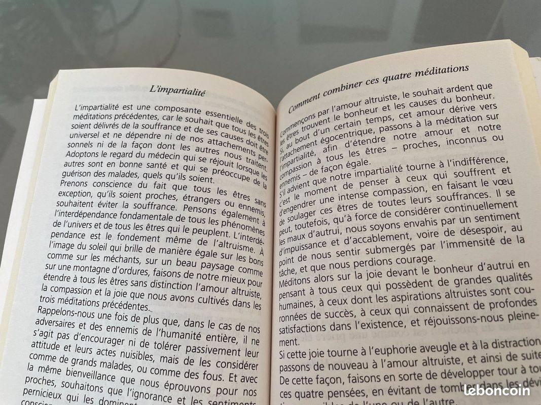 Matthieu Ricard - l’art de la méditation (image 2)