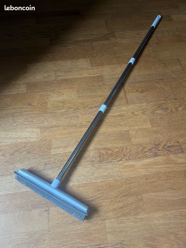 Balai Poils Animaux Avec Raclette - Poignée Télescopique 58 Cm Pour Voiture Et Maison