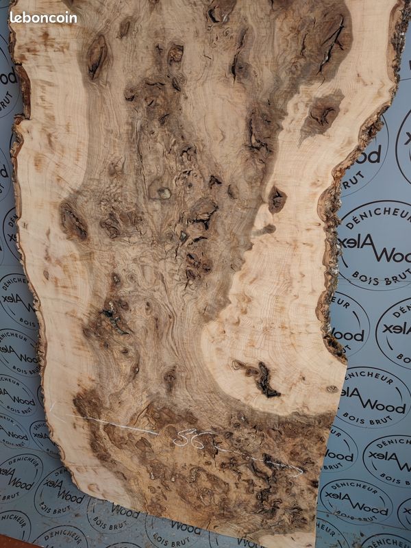 Plateau planche bois brut loupe de frêne olivier (image 4)