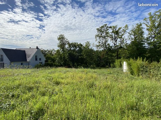 Terrain 1372 m² Sierentz