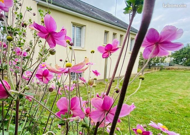Maison 4 pièces 76 m²