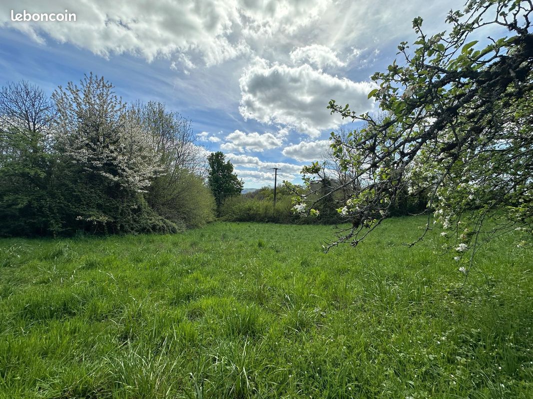 Terrain 1995 m² · à Montredon-Labessonnié · 1 995 m² · 30 000 €