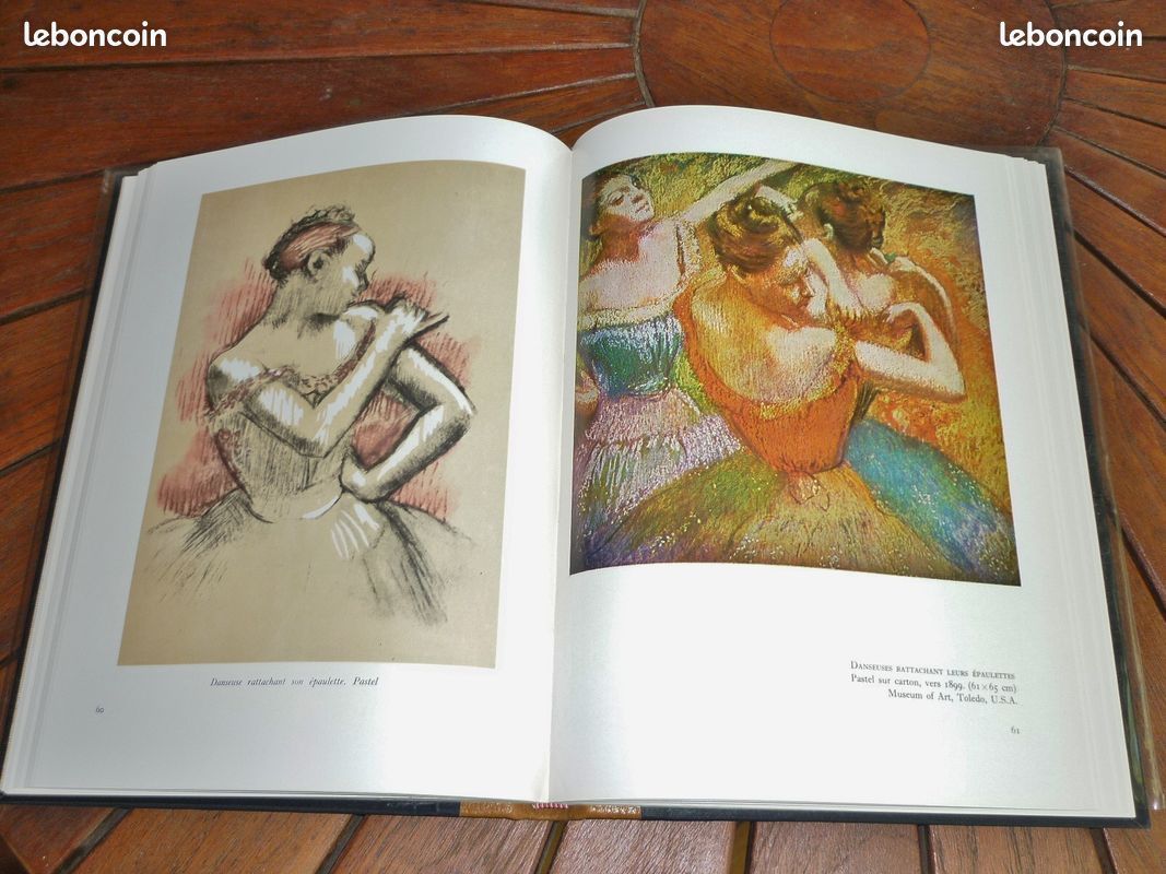 Collection de 9 ouvrages "Grands Maîtres de la peinture moderne" (Flammarion) - ETAT NEUF (20 l'un) (image 6)