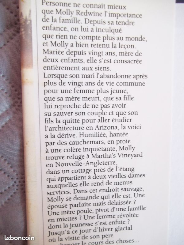 Anne Rivers Siddons: de l'autre côté de l'île (image 2)