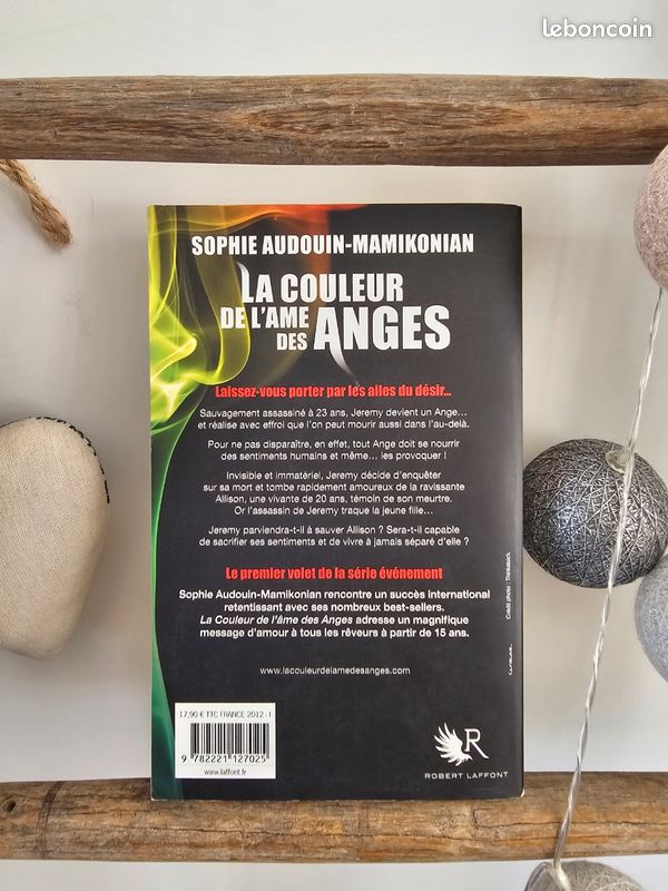 Roman la couleur de l'âme des anges (image 3)