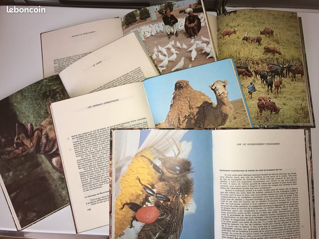 Les Grandes Enigmes du Monde Animal (image 3)
