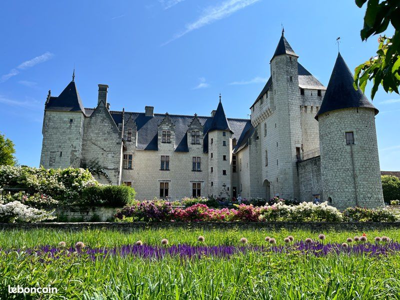 Location Maison 6 personnes - Gîte 3* Au Coeur d'Azay (image 18)