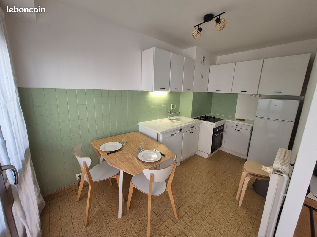 Appartement 1 pièce 43 m² · à Saint-Étienne · 43 m² · 495 €