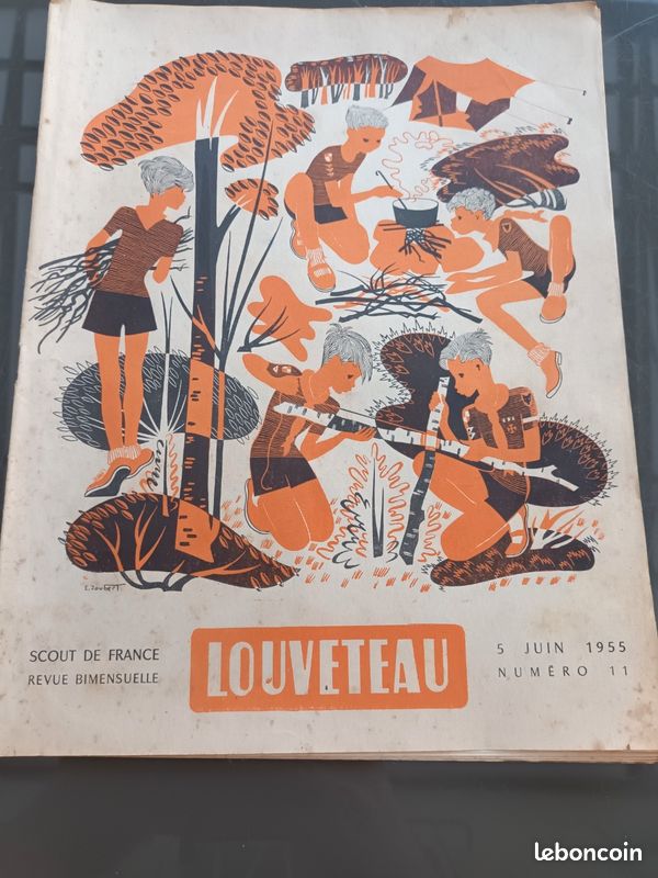 Autocollant de scoutisme - France