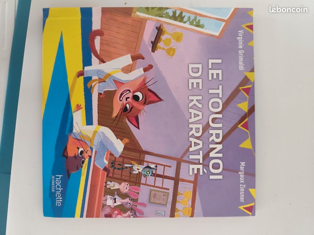 Livre pour enfant le tournoi de karaté (image 2)