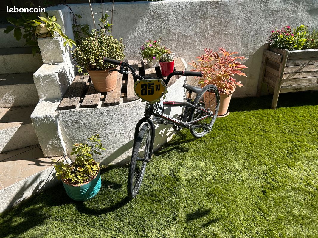 Vélo BMX (image 3)