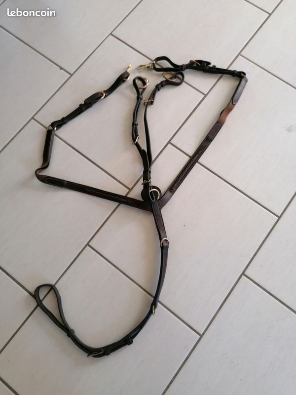 Collier de chasse martingale Dyon (image 1)