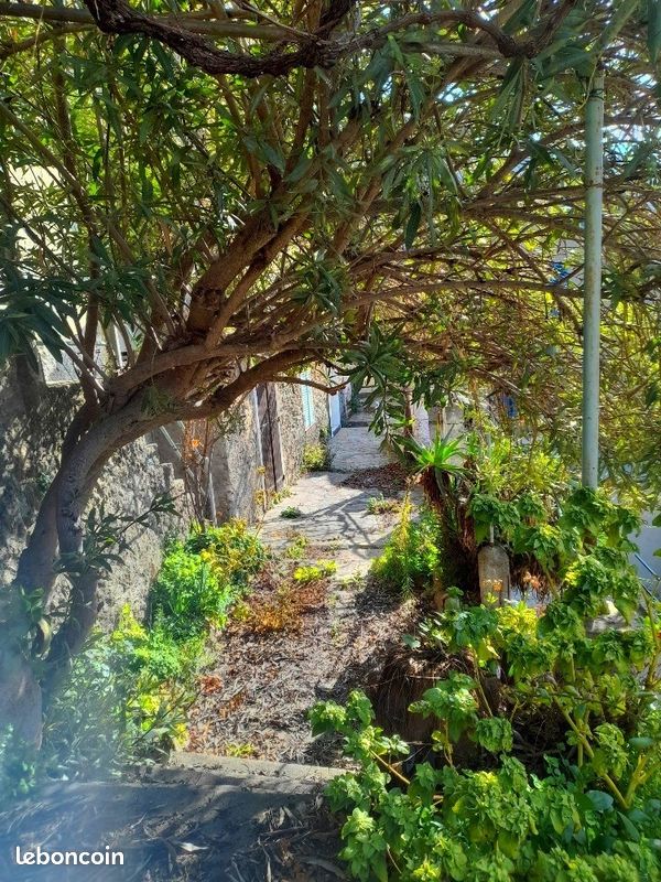 Maison 7 pièces 120 m² · à Oletta · 120 m² · 315 000 €