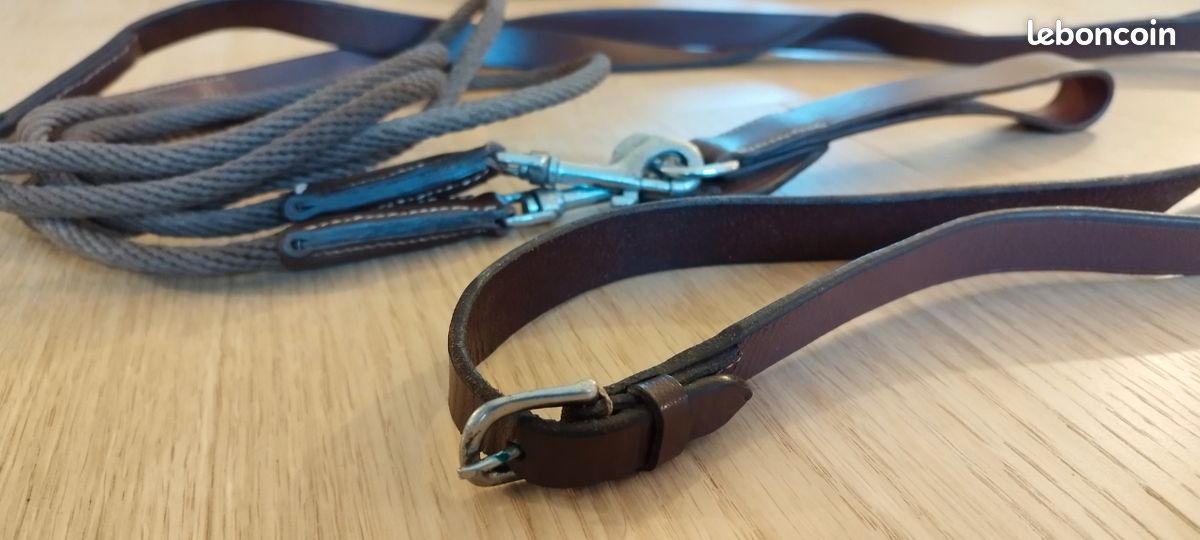 Rênes allemandes corde et cuir noir TdeT | OHLALA