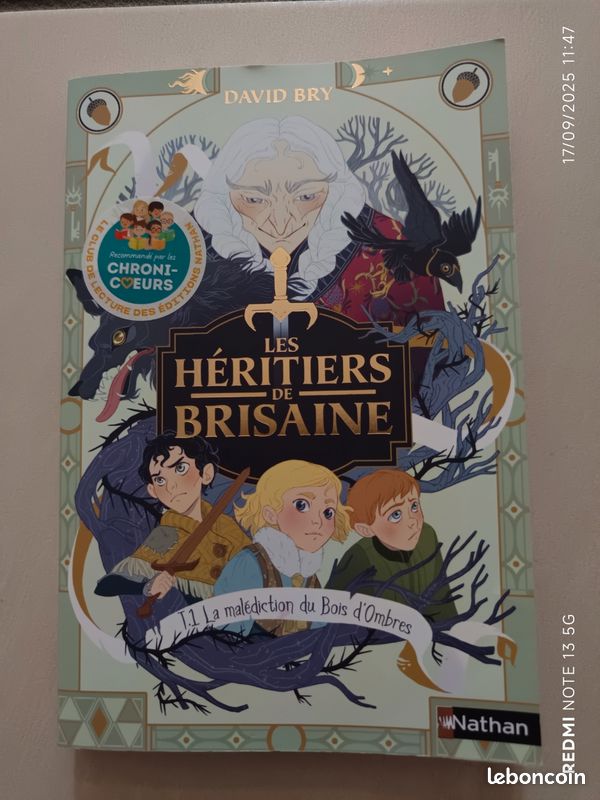Les héritiers de brisaine (image 2)