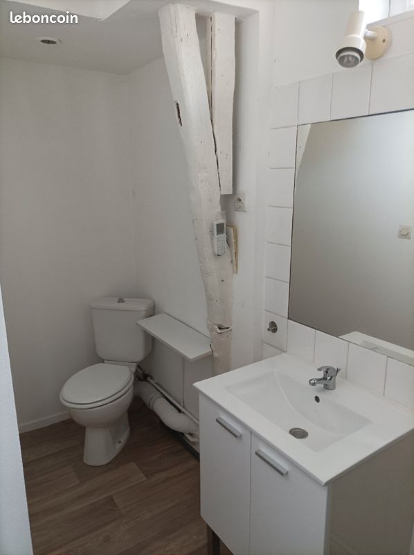 STUDIO A LOUER 25m2 - Limoges 87000 Centre-Hôtel de Ville Emailleurs (image principale 2)