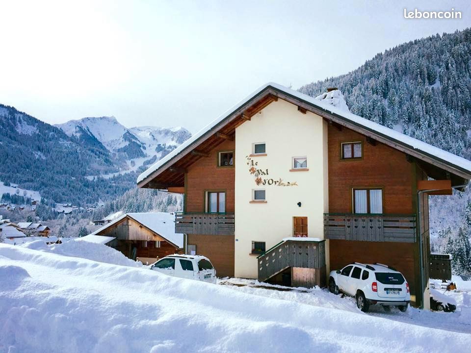 Eté - Hiver : Chalet-Appartement-Duplex pour 10/12 pers à Châtel (image 1)