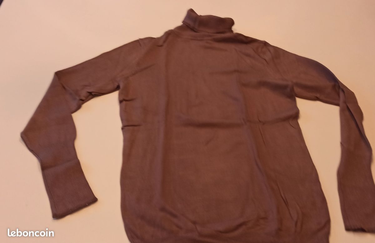 Pull Col roulé taupe bord Col et manches lurex In extenso taille S