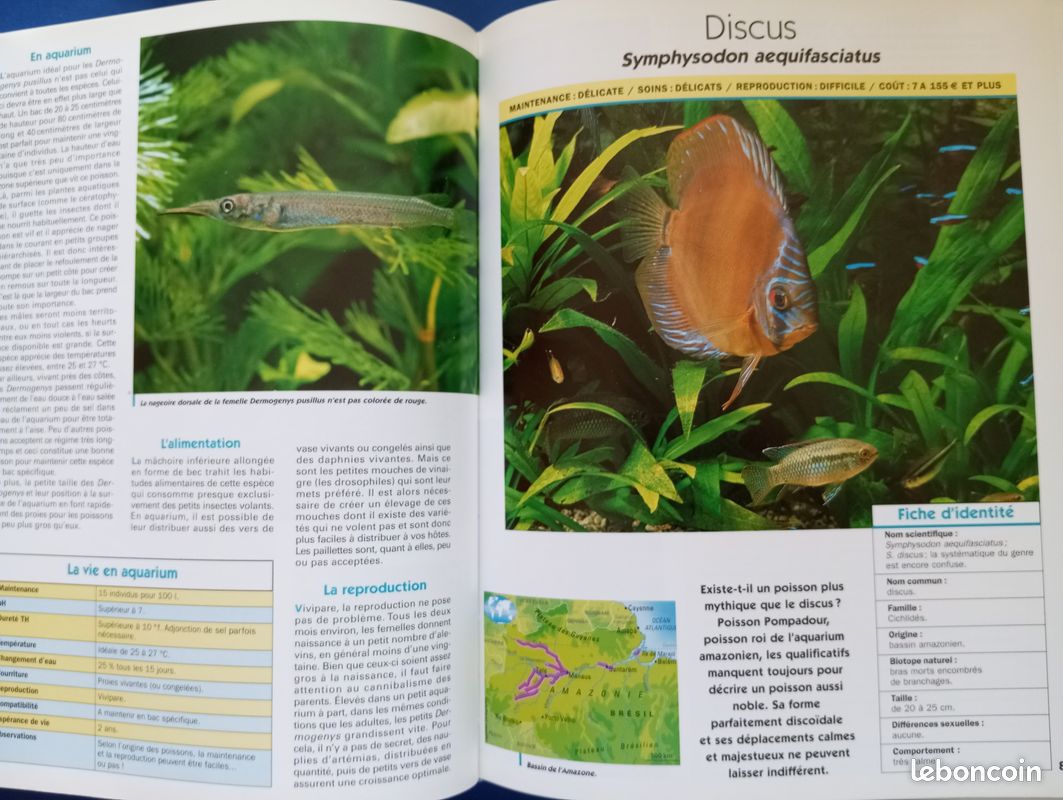Livres poissons d'aquarium (image 3)