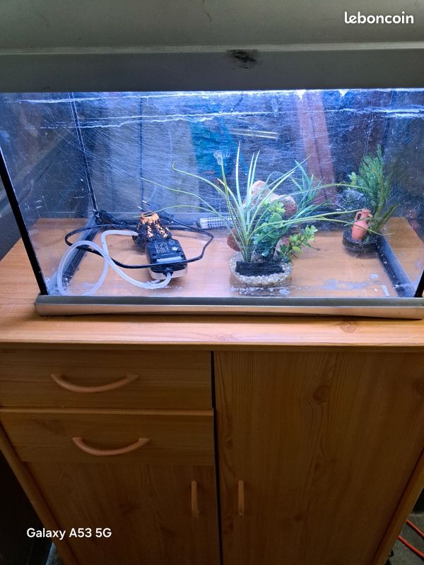 Aquarium (image 3)