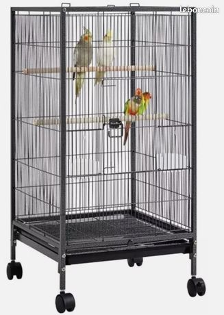 Sitemapcdatahttpsshopinf Inetcomcage Oiseaux Occasion Particulier